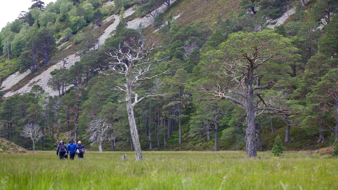 Filming in Cairngorms Scotland